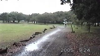 【五十路】デブでブスな人妻の怪しからんマンコに中出しするモザイクなし無料無修正ハメ撮りエロ動画